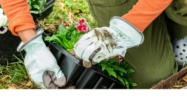 Dig In- A Portlander’s Guide to Spring Gardening-1