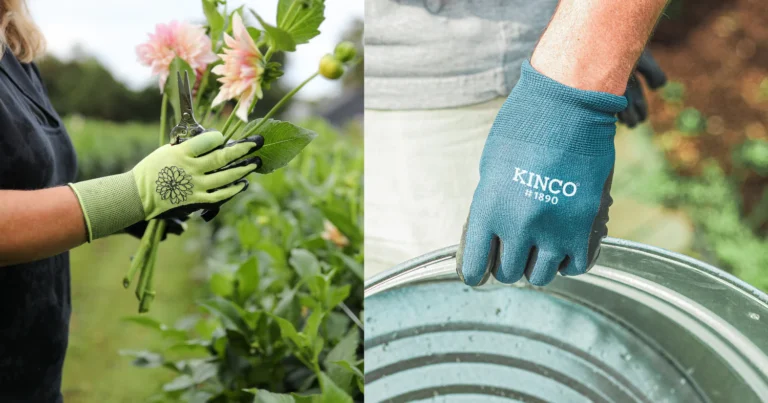 What Can’t We Live Without in the Garden And Beyond-1