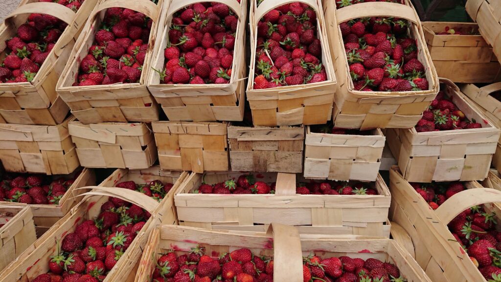 Strawberries (Late Spring) -1