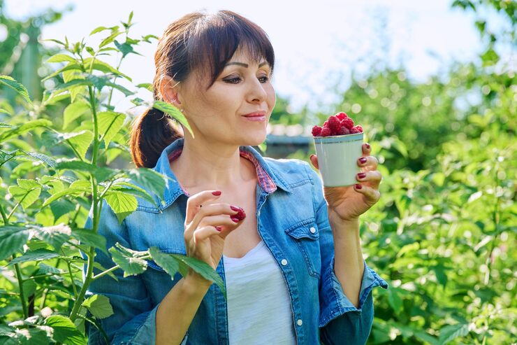 Why Strawberries Taste Better in Spring Than in Winter